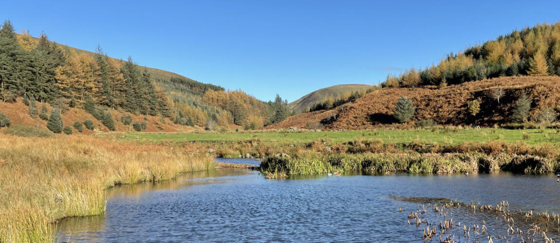 The Dunsop Valley in the Forest of Bowland